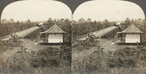 Grupo de 14 estereógrafos de África e Actores, 1850-1910s.