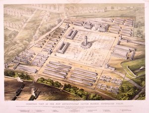 Metropolitan Cattle Market, Londres, 1855