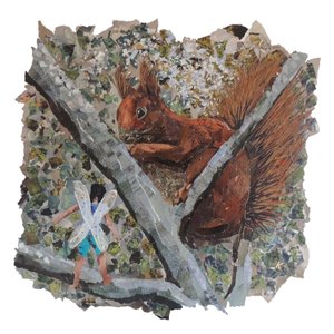 Caça De Avelã de Kirstie Adamson