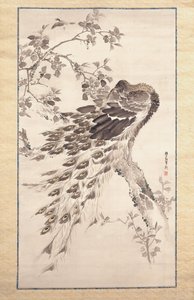 Pavão sobre cerejeira (tinta e cor sobre seda)