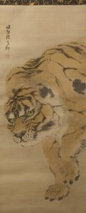 Tigre, início do século XIX.