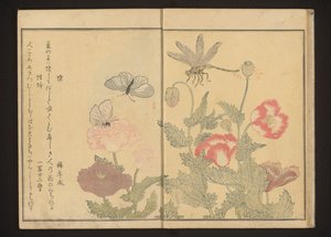Borboletas e libélulas perto de papoilas de Kitagawa Utamaro