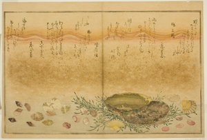 Chidori - fora, dor - fora, abalone, mover - fora, amêijoas - fora, há uma idéia para Allah, das brácteas latte de de Kitagawa Utamaro