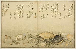 Chidori - fora, dor - fora, abalone, mova - fora, amêijoas - fora, há uma idéia para Allah, das brácteas latte de de Kitagawa Utamaro