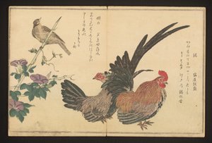 Galo e bunting de Kitagawa Utamaro