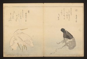 Cormorante e garça de Kitagawa Utamaro