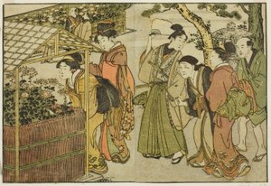 Exibição de Crisântemos, do livro ilustrado "Livro de Imagens: Flores das Quatro Estações (Ehon shiki no hana)", vol. 2 de Kitagawa Utamaro
