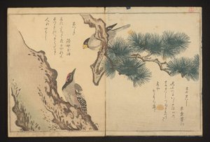 Grosbeak e pica-pau de Kitagawa Utamaro