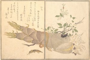 Mole Cricket Kera, Earwig, Hasami-mushi ..., 1788. de Kitagawa Utamaro