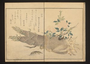 Grilo de toupeira e tesourinha em broto de bambu de Kitagawa Utamaro