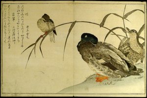 Pássaros miríades: Um concurso de Kyoka (Momo chidori kyoka awase) de Kitagawa Utamaro