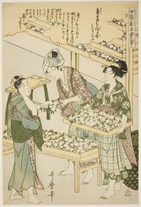 Nº 6 (roku), da série "Mulheres engajadas na indústria da sericultura (Joshoku kaiko tewaza-gusa)" de Kitagawa Utamaro