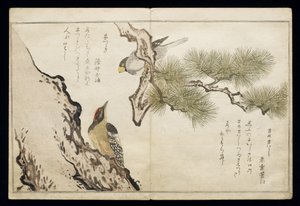 P.332-1946 Vol.1 f.3 Hawfinch e um pica-pau, do álbum &39;Birds comparison in Humorous Songs&39;, 1791 (impressão em xilogravura a cores) de Kitagawa Utamaro
