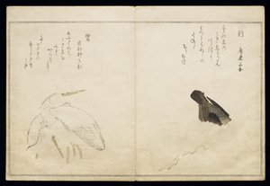 P.332-1946 Vol.1 f.4 Cormorão à direita e duas garças nevadas à esquerda, de um álbum &39;Aves comparadas em Canções Cómicas&39;, 1791 (impressão em xilogravura a cores) de Kitagawa Utamaro