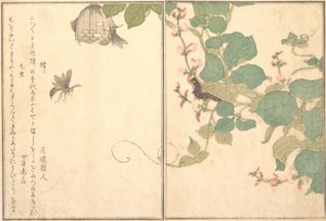 Hachi Vespa de Papel, Lagarta Cabeluda Kemushi..., 1788. de Kitagawa Utamaro