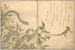  de Kitagawa Utamaro