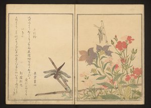Libélula vermelha e gafanhoto por roscas de Kitagawa Utamaro
