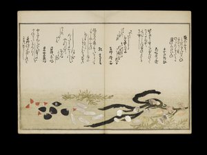 Shiohi no tsuto (Presentes da Ebb Tide), conhecido como o livro Shell, 1789 (impressão em xilogravura a cores) de Kitagawa Utamaro