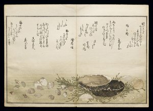 Shiohi no tsuto (Presentes da Ebb Tide), conhecido como o livro Shell, 1789 (impressão em xilogravura a cores) de Kitagawa Utamaro