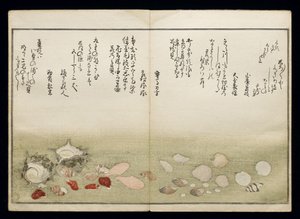 Shiohi no tsuto (Presentes da Ebb Tide), conhecido como o livro Shell, 1789 (impressão em xilogravura a cores) de Kitagawa Utamaro