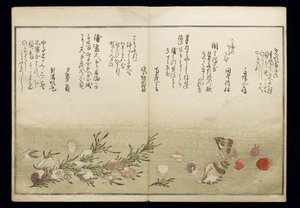 Shiohi no tsuto (Presentes da Ebb Tide), conhecido como o livro Shell, 1789 (impressão em xilogravura a cores) de Kitagawa Utamaro