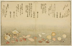 Branco-fora, rugas na superfície, Maclar Street, Yellow Street, Other Street, Sadaei, do tee st latte d livro k `` técnica fts do te eh b no chão (brácteas de maré) ” de Kitagawa Utamaro