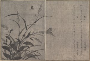 Matsumushi Tree cricket, Firefly Hotaru..., 1788. de Kitagawa Utamaro
