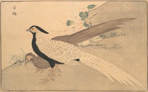 Bai xian, 1789.