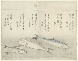 Quatro peixes de Kitao Masayoshi