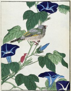 Um pássaro numa árvore. Desenho japonês de Kitao Kosuisai