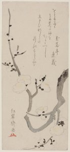 Ramo de ameixa de Kitao Shigemasa