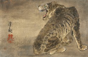 Tigre e relâmpago