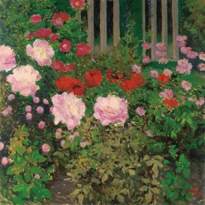 Flores e cerca do jardim; Flores desabrochando em cima da muro jardim