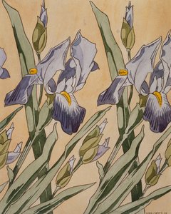 Íris, 1898 de Koloman Moser