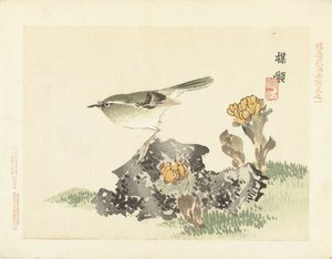Pássaro verde
Esboços de flores e pássaros da Bairei (título da série)
Barei kacho gafu (título da série sobre o objecto) de Kono Bairei