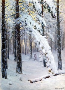 Floresta do inverno