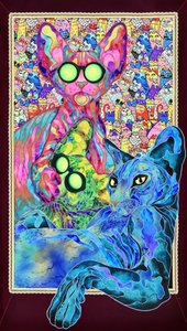 Família dos Gatos Psicadélicos