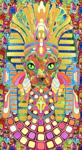 Gato Faraó Psicadélico