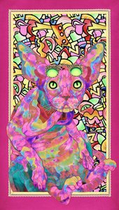 Gato Sphynx Psicadélico de Kostyantin Malginov
