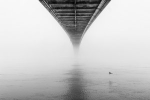  de Krunoslav Nevistic