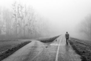 Escolhas na Estrada Ennevoada de Krunoslav Nevistic