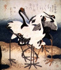 Cinco Guindastes com Penas Brancas em Várias Posições no Cuspo de Areia, da série Três Pétalas, c.1816 (tinta) de Kubo Shumman