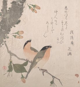Dom-fafes e Flores de Cerejeira, século XIX. de Kubo Shunman