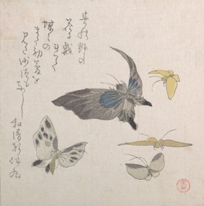 Borboletas, século XIX. de Kubo Shunman
