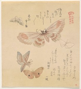 Borboletas e traças, da série A Flock of Butterflies (Gunch? Gafu) de Kubo Shunman