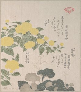  de Kubo Shunman