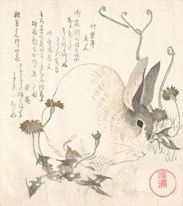 Lebre e dente-de-leão, provavelmente 1820. de Kubo Shunman