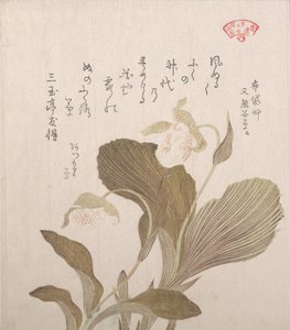 Hotei Flowers, século XIX. de Kubo Shunman