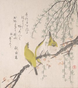 Olhos brancos japoneses com ameixeira e salgueiro..., ca. 1810. de Kubo Shunman