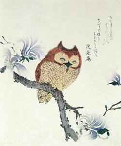 Coruja num ramo de magnólia (tinta e cor sobre papel) de Kubo Shunman